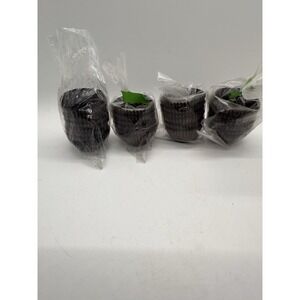 Mini Brown Cupcake Liners 1" Candy Truffle Cups Bakery Parchment Lot of 4